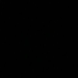 Meet your Posher, Mia